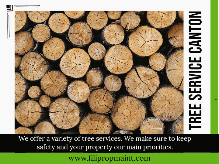 Tree Service Canton