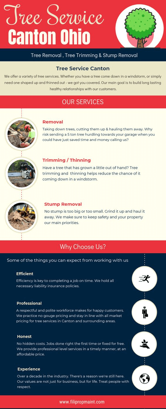 Tree Service Canton Ohio
