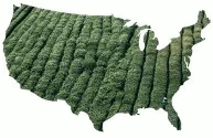 us-HEMP-map-1.jpg