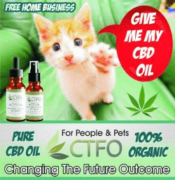 Huile de CBD pour chats