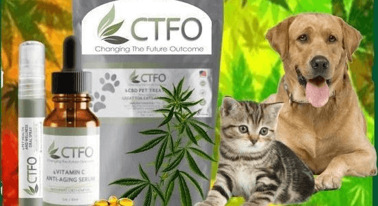 Acheter des produits pour animaux de compagnie CBFO CTFO