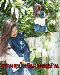 จ๊ะจ๋า พริมรตา ยิ้มแก้มปริ หลังเจอต้นมะม่วงลูกดกในรั่วบ้าน #อยู่บ้านสนุกจัง