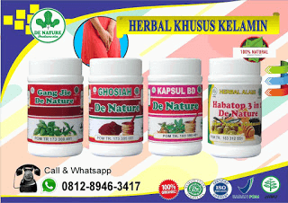 HARGA OBAT KEMALUAN BENGKAK AKIBAT SUNTIK MINYAK KEMIRI 