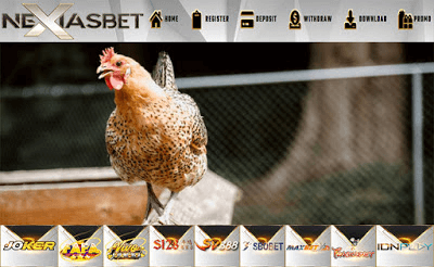 Sabung Ayam Online