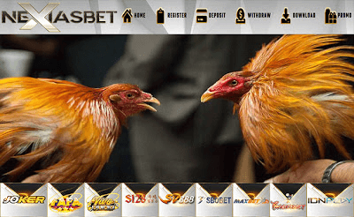 Sabung Ayam Online