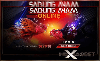 Ayam Bangkok Aduan Ayam Adu Super Sabung Ayam Online - nexiasbet88.info