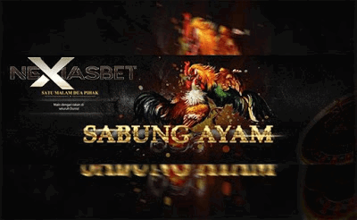 Ayam Bangkok Petarung S1288 Judi Ayam Online Apk - nexiasbet88.info