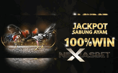 Ayam Philipin Ayam Siam Apk Sabung Ayam Online - nexiasbet88.info