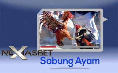 Ayam