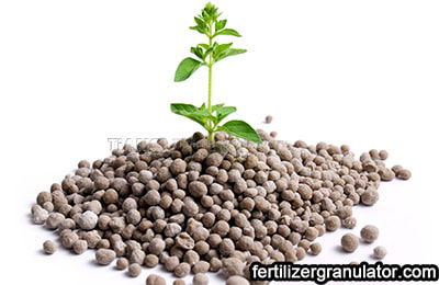 Organic Fertilizer