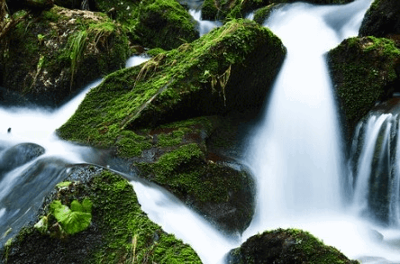 Pedras cobertas por musgos em uma cachoeira.