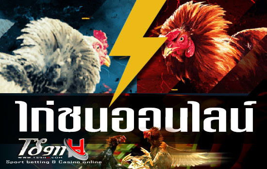 ไก่ชนออนไลน์