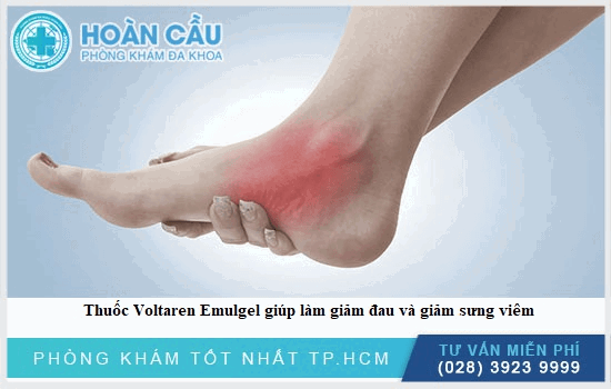 Thuốc hỗ trợ các tình trạng xương khớp