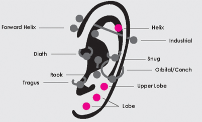 Médico o farmacia de perforación de orejas: ¿Qué áreas son adecuadas para perforaciones de orejas en el médico o farmacia?