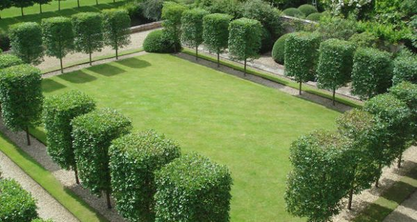 شركة تنسيق حدائق بجدة