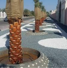 شركة تكريب النخيل بجدة - 0542750106 أبو ريتـال - تنظيف وتلقيح وتقطيع وزراعة  النخيل فى جدة