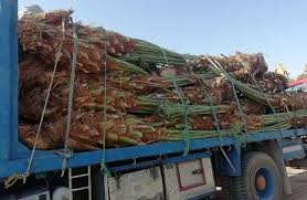 شركة سيرفس تاون للخدمات المنزلية - الشركة رقم 1 فى مجال الخدمات المنزلية  والصيانة والمقاولات من خلال أفضل العمالة والفنيين