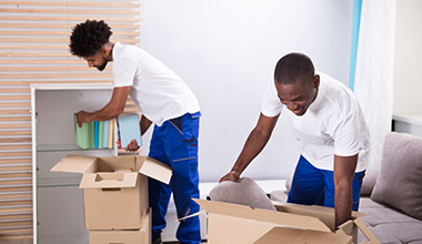 Office Removals