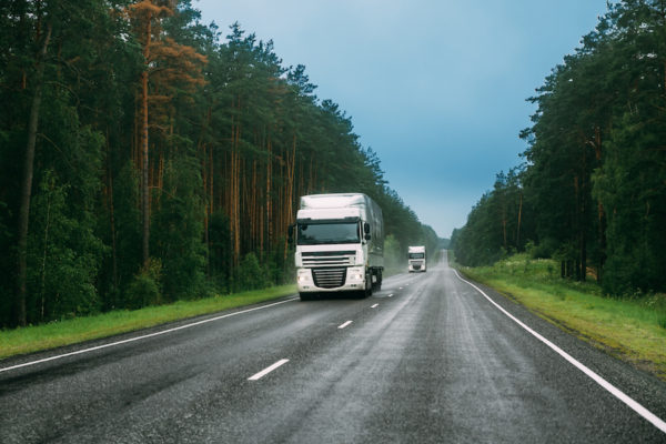 Biggles Removals Long Distance Truck