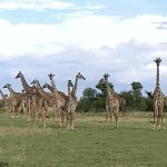 Tanzania Family Trip & Zanzibar Beach Holidays