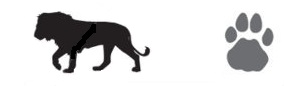 lion and foot print