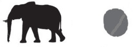 elephant and print