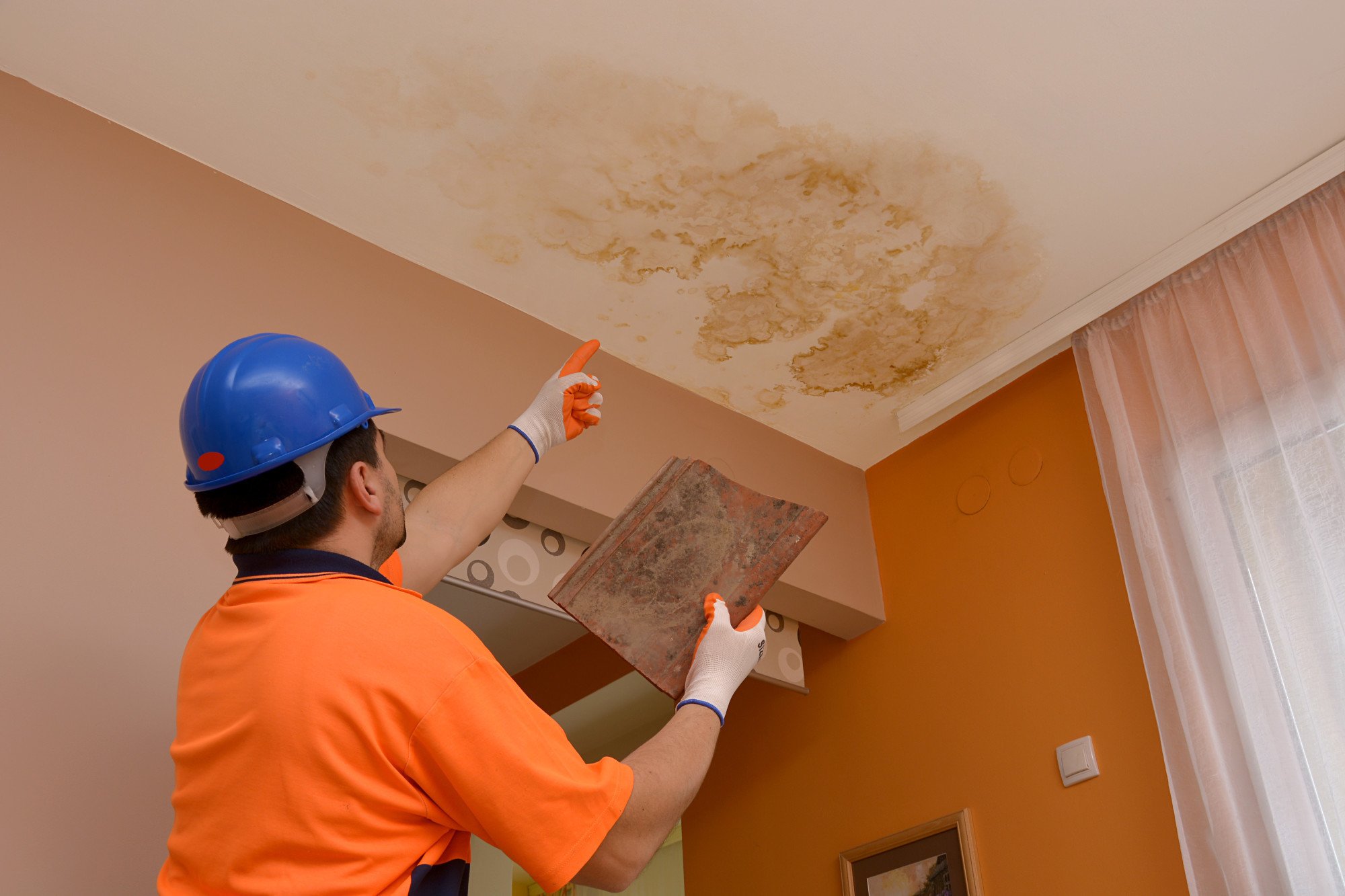 Fort Lauderdale Mold Removal