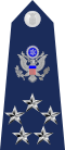 US Air Force O11 shoulderboard with seal.svg