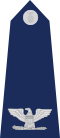 US Air Force O6 shoulderboard.svg