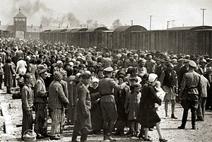 Selection on the ramp at Auschwitz-Birkenau, 1944 (Auschwitz Album) 1a.jpg