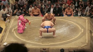 File:Sumo.webm