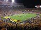 LSU football game.jpg