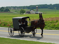 Lancaster County Amish 03.jpg