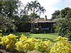 Kauai-Kilauea-KoloRd2457-yard.JPG