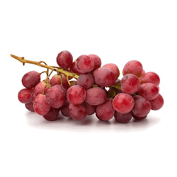 Grape Seed Extract