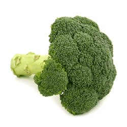 Broccoli Seed Extract
