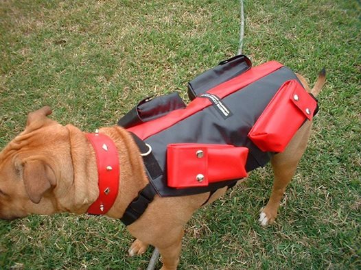 Dog Vest With Weights