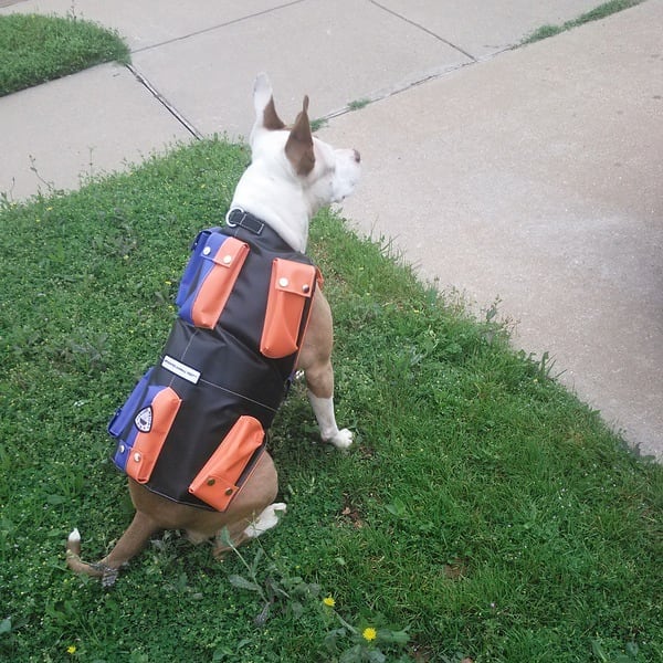 Service Dog Weight Vest