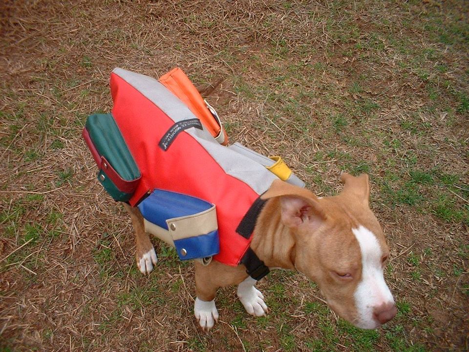 Weighted Dog Vest