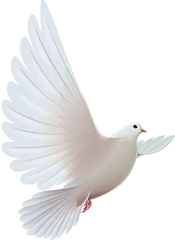 9016a26a10e6e5cb4a17dafc75408051.png