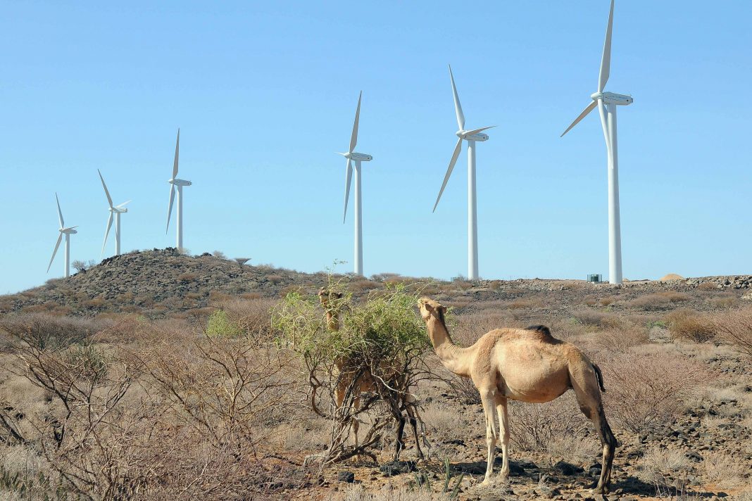 Lake Turkana Wind Power project in Marsabit County.