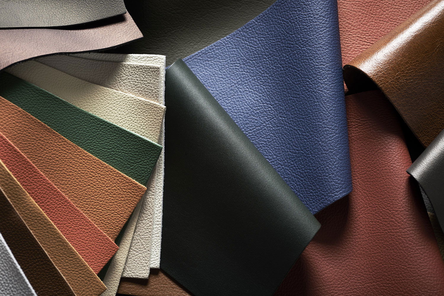 Plusieurs coloris sont disponibles
