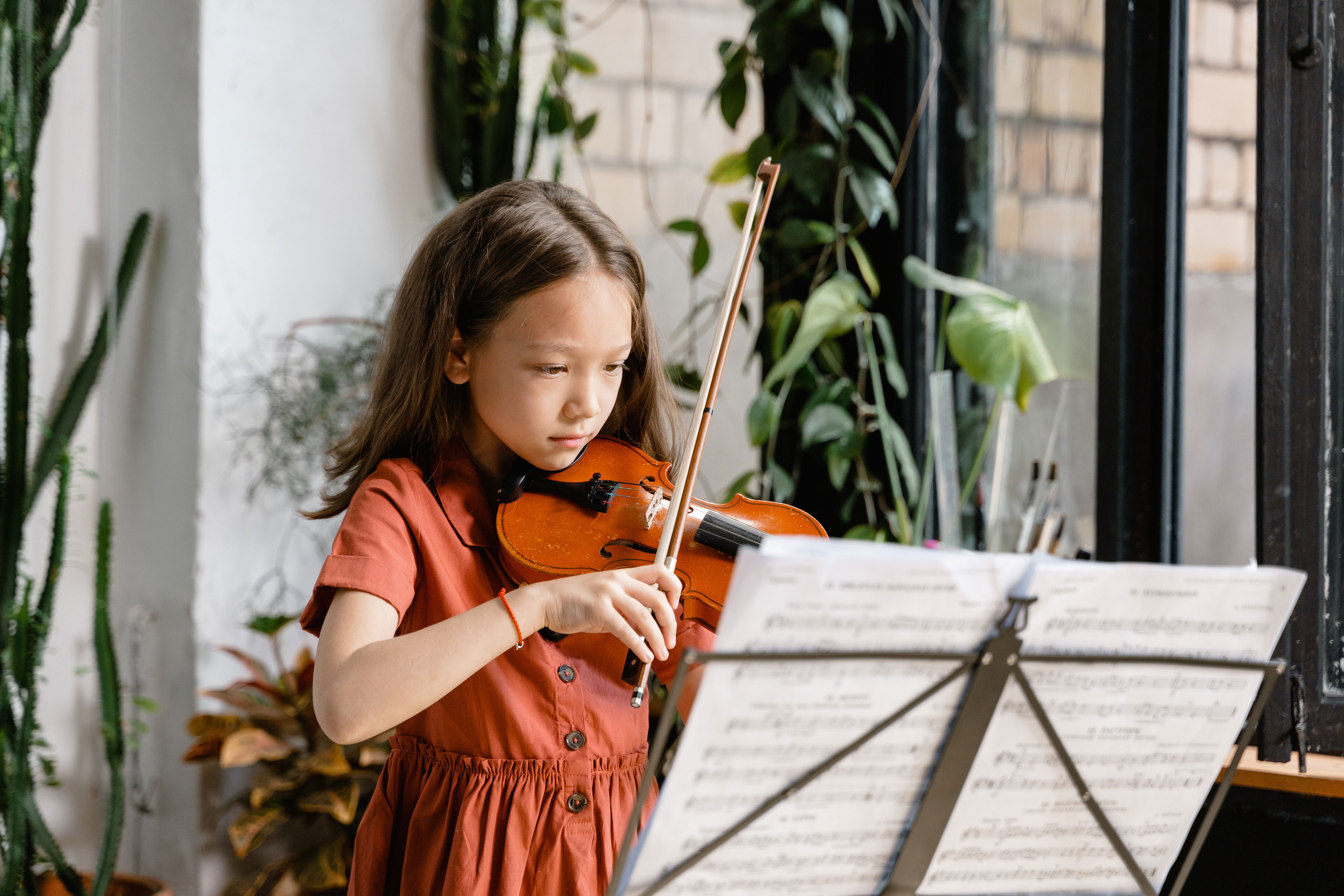 basic violin lessons for beginners