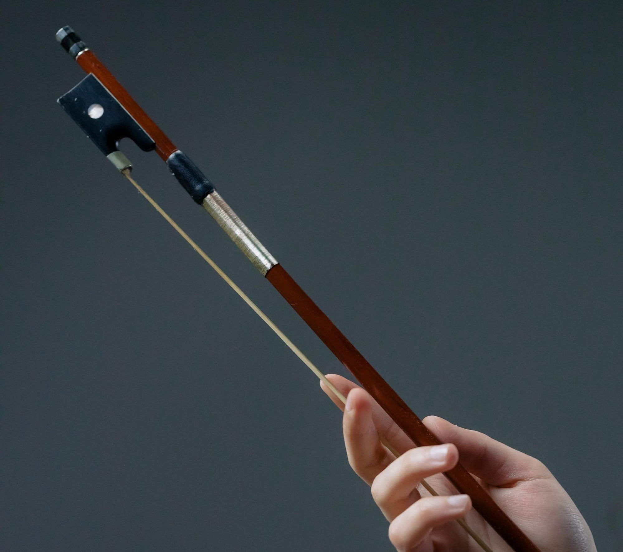 violin bow