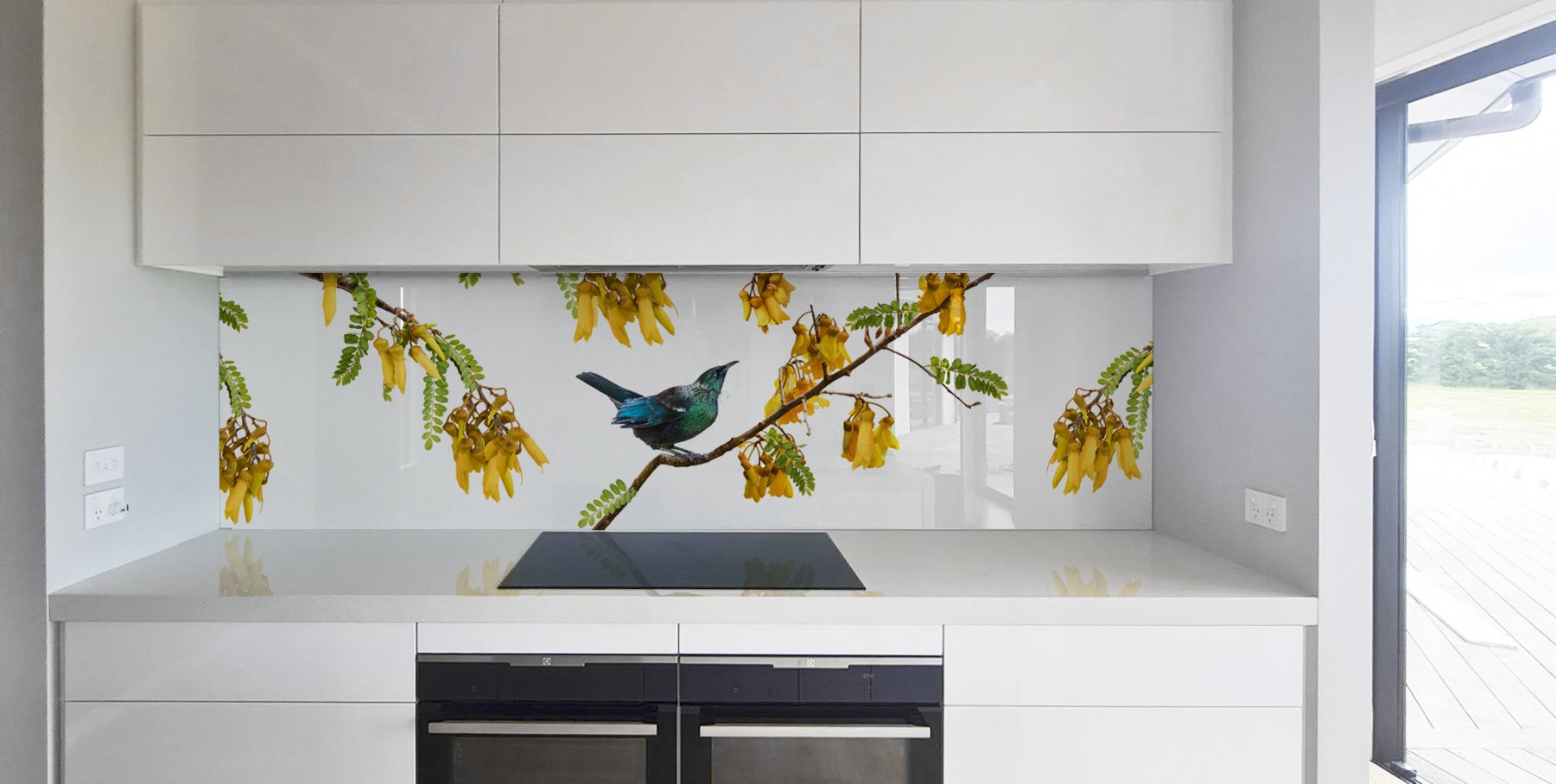 Glass Splashback Designs 