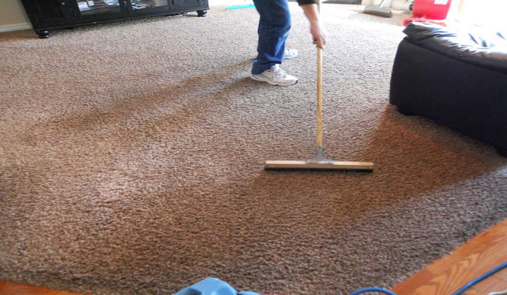 Roslindale MA Rug Cleaning