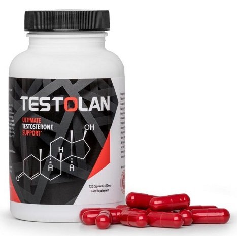 testosterone levels increase results