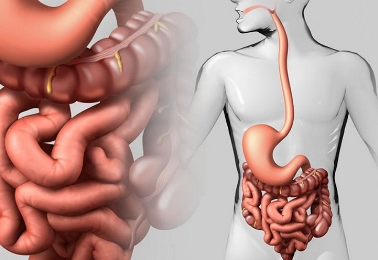 how to cleanse the intestines naturally
