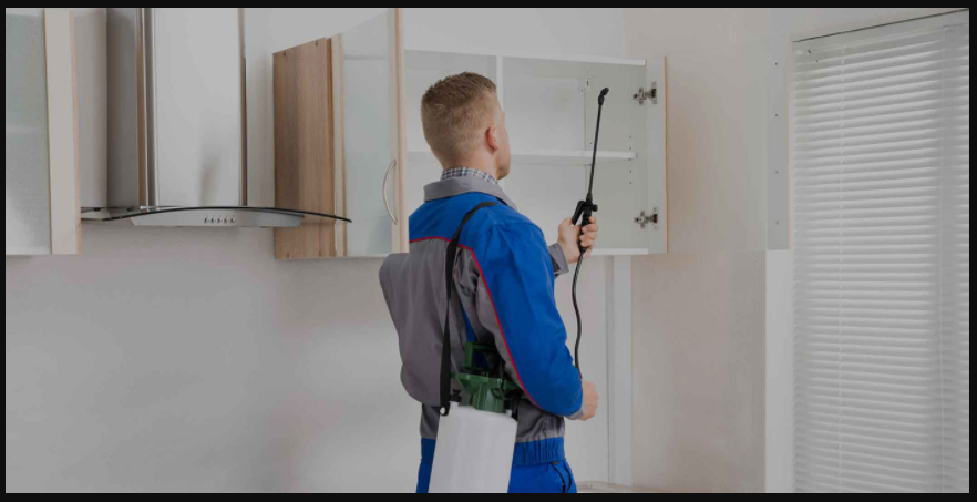 Bed Bug Exterminator Springfield MO