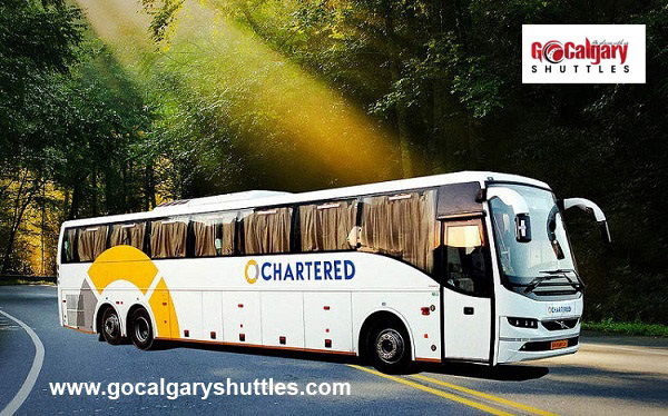 Charter Bus services